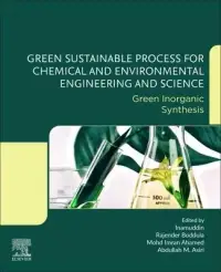 在飛比找博客來優惠-Green Sustainable Process for 