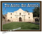 THE ALAMO SAN ANTONIO Fridge Photo MAGNET 4 X 3 inches - travel
