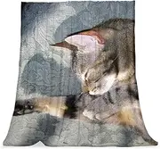Plush Blanket, Nap Blanket, Warm Cozy Soft, Microfiber Blankets, Animal a Sleeping Cat