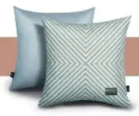 在飛比找Yahoo!奇摩拍賣優惠-SONY 暖心抱枕 靠枕 可換洗