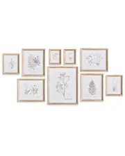 Napa Home & Garden Set of 9 Botanical Study in Sepia