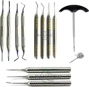 13 Pcs Professional Dental Instruments Osteotome Periotome Luxating Elevator Implant | Orthodontic PDL Teeth | Surgical Root Extraction Spreading Tools