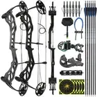 Archery Compound Bow Set 19-70lbs Aluminum Alloy Riser Adjustable Bow Hunting