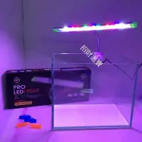 在飛比找Yahoo!奇摩拍賣優惠-台灣雅柏 增艷夾燈 25cm 檢驗合格 高亮度LED燈泡 多