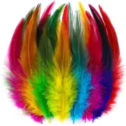 Craft Rooster Feathers - 200pcs 5-7inch Colored Feathers Bulk for Colorful