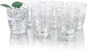 26-Ounce Plastic Tumblers (Set of 6), Reusable Plastic Mugs, BPA-Free Acrylic to Drink Mugs, Shatter Resistant, Textured Interior, Dishwasher Safe (Clear Color, 15 Ounce)