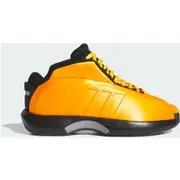 Crazy 1 Shoes