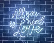 20" All You Need is Love Acrylic Neon Lamp Sign Light Wall Decor With Dimmer