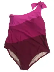 Aqua Couture Womens Plus Pink Color Block 1pc Asymmetrical Swimming Swim Suit