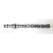 KCH Heads Camshaft - 50080337