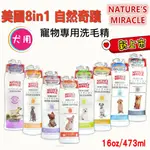 【新品】美國 8IN1 自然奇蹟寵物洗毛精系列 16OZ(約472ML)