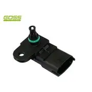 RAE MAP Sensor - MP158
