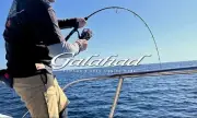Yamaga Rod Spinning Jigging Model Galahad Basic GA-633S (7317)