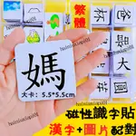 🏆鐵磁認字遊戲 繁體識字貼 漢字+圖卡配對 幼兒早教互動認字卡 反義詞 水果 蔬菜 五官 認知