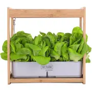 PLANTCRAFT 12 Pod Indoor Hydroponic Growing System with Bamboo Frame & LED