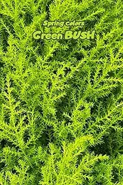 [Adria Shine] Spring Colors – Green Bush Notebook: Special Notice Book To Memorize, Draw, Write, Sketch, Paint And Freeze In Pictures All Beautiful Moments Of Spring In Green Bush Color