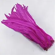50 Pcs 35-40CM Rooster Coque Tail Feathers for Crafts Natural Rooster Feather Pheasant Feather Assesoires Rose
