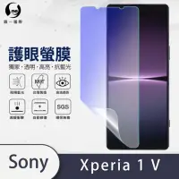 在飛比找momo購物網優惠-【o-one護眼螢膜】Sony Xperia 1 V 滿版抗