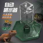 自動餵水器 兩棲爬蟲補水器 寵物喝水 陸龜 爬蟲 寵物飲水器 加濕器