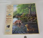 Sunsout 1000 Piece Jigsaw Puzzle "Places Remembered Summer" Sealed #28373