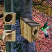 Window Bird House for Outside Bird Nesting Box for Swallow Perch