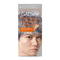 在飛比找蝦皮購物優惠-GATSBY-無敵顯色染髮霜【水漾銀灰】