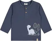 [SALT AND PEPPER] Jungen B.Boys Ls Print + Emb Dino Baby and Toddler T-Shirt Set