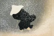 [Namly Design] Poster - Snowy Scene