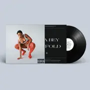 Ten Fold (Vinyl)