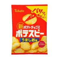 在飛比找PChome24h購物優惠-日本東鳩 雞湯風味洋芋片55g