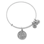 AUTHENTIC Disney Parks Frozen Anna and Elsa Bangle by Alex and Ani Charm Silver
