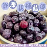 在飛比找momo購物網優惠-【WANG 蔬果】美國冷凍栽種藍莓1kgx1包(1kg/包_