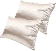 Cabilock Elegant Zipper Pillowcases 2 Pack Bed Pillow Covers in Polyester for Comfort
