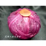 紫色高麗菜  紫生菜 仿真蔬菜  板橋發貨 花語人造花資材園藝用品婚禮小物