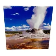 Castle Geyser Yellowstone Ceramic Tile Trivet Coaster Travel Souvenir 4" x 4"