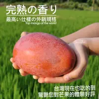 在飛比找momo購物網優惠-【台灣紅】屏東枋山愛文芒果10斤x2箱(20-24顆/10斤