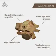 ARJUNA CHHAL – ARJUN CHHAL – ARJUN BARK – TERMINALIA ARJUNA