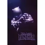 BLACK PANTHER VOL. 1