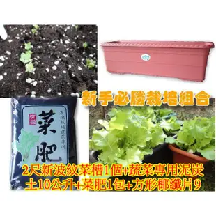 【全店限價免運】新手蔬菜栽培組合有機蔬菜專用花盆、花架上的好搭檔，花槽含底、進口蔬菜專用泥炭土肥料椰纖片【魔豆園】