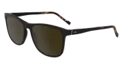 ZEISS ZS25557S 201 MATTE BROWN 58/17/145 MALE Sunglasses