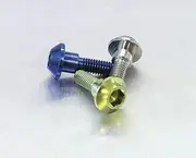 Pro-Bolt TIDISCR1R6 Titanium Front Washer Screw Natural