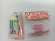 NEW Iwako erasers made in Japan - Dental set, Toothbrush toothpaste mini size