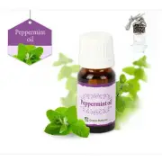Peppermint Oil Car Vehicle Air Freshener Essential Diffuser Silver Cap Bottle