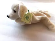 President Dick Cheney's Stuffed Animal DAVE Dog VPR White House Gift Puppy GIFT