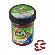 Berkley Gulp! Alive! Maggot Fishing Bait, Red Wiggler, Extreme Scent Dispersion,