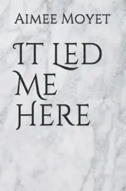 It Led Me Here by Aimee Moyet (English) Paperback Book