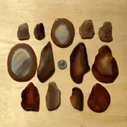 1LB Lot Agate Rock Slices Cut Polished Geode Stones Mixed Natural Brown Crystals