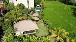 烏布鳳蝶飯店Byasa Ubud Hotel