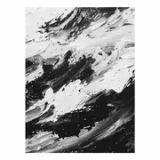 Black White Canvas Print