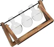 ibasenice 3pcs Hydroponic Flower Vase with Wooden Stand Transparent Glass Planter for Home Office Decoration Sturdy High Borosilicate Glass Easy Setup Temperature Resistant